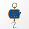 Digital Hanging Scale 300KG Double Side Display